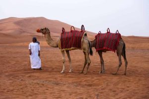 Quad Biking Bliss: Discovering Dubai’s Desert Beauty