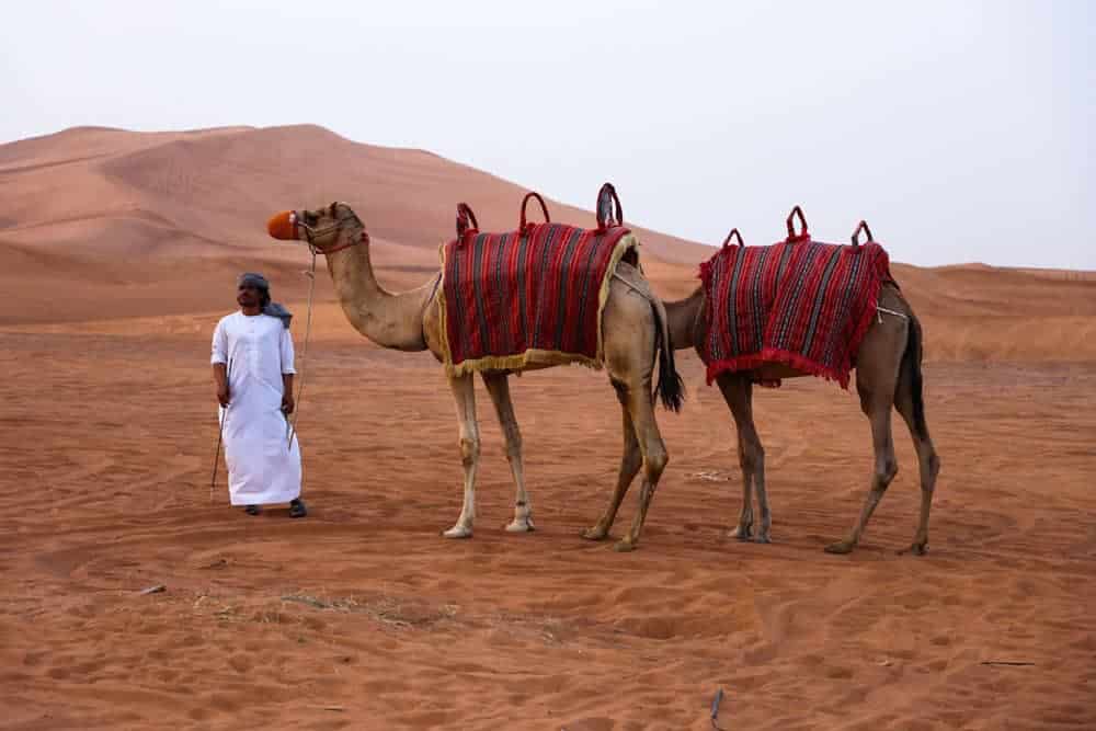 Quad Biking Bliss: Discovering Dubai's Desert Beauty